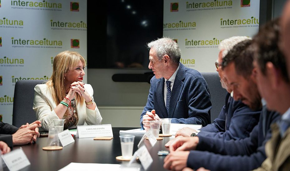 Interaceituna y Andalucía TRADE analizan la primera fase de la ‘Campaña de Promoción de Aceituna de Mesa en India’