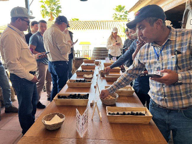 La Universidad de Sevilla recibe a profesionales del sector agroalimentario de Chile, Perú y México