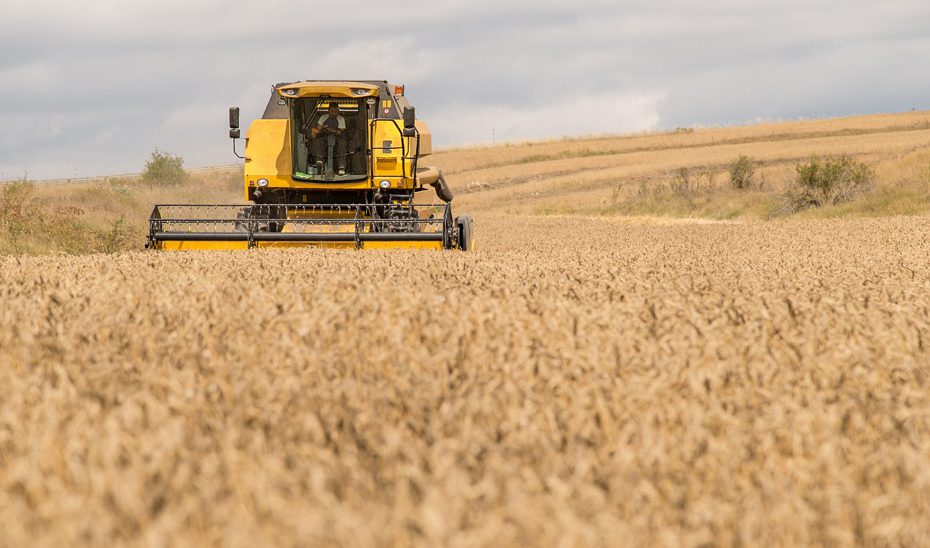 Aprobadas ayudas para compensar los efectos de las últimas borrascas en el campo andaluz