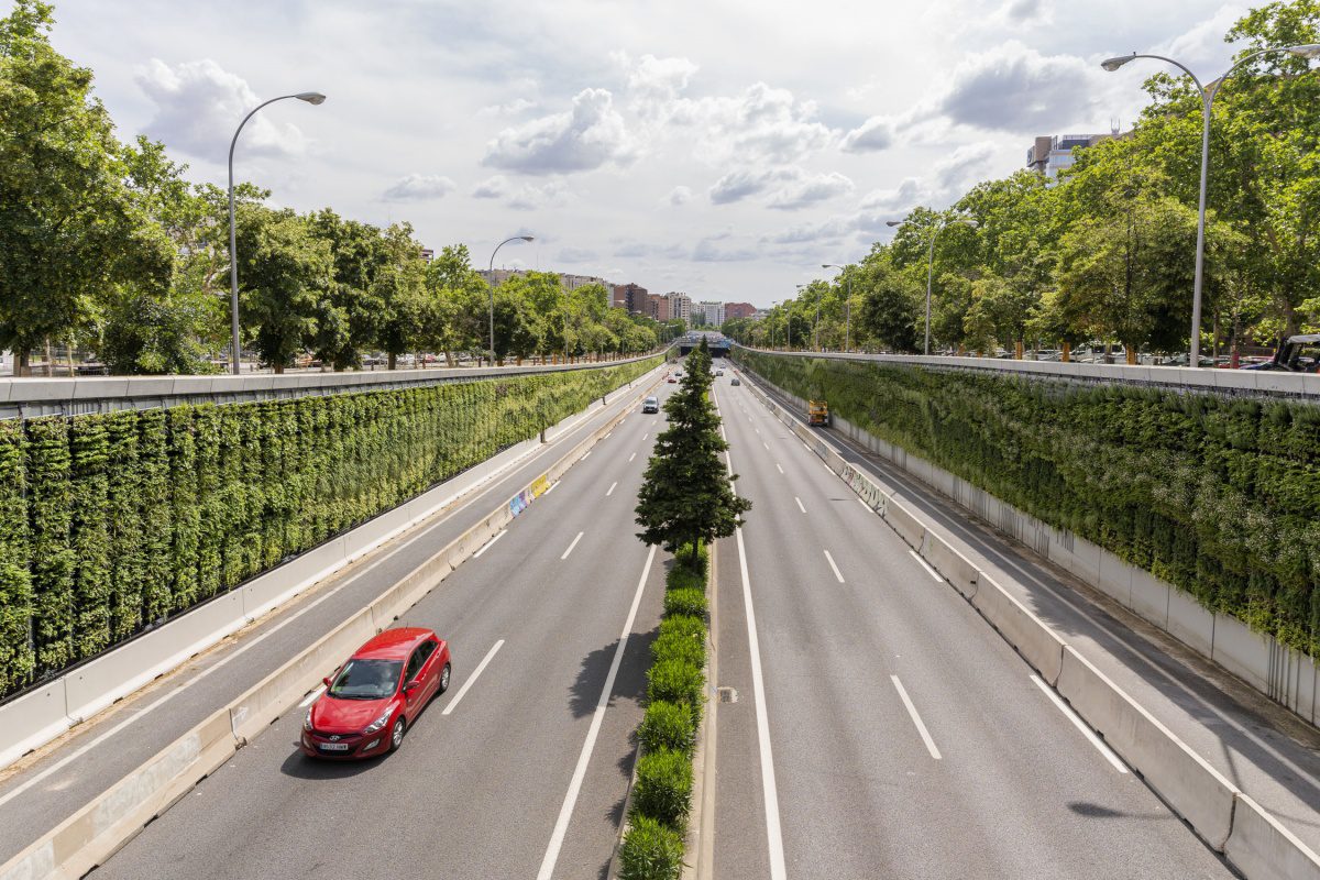 Dos investigadores de la US reciben el XXXII Premio Juan Julio al mejor libro en el ámbito de la jardinería