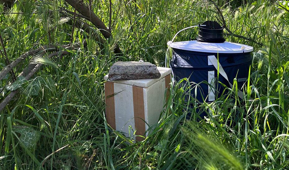 Las trampas de mosquitos descartan circulación del virus del Nilo Occidental durante el invierno
