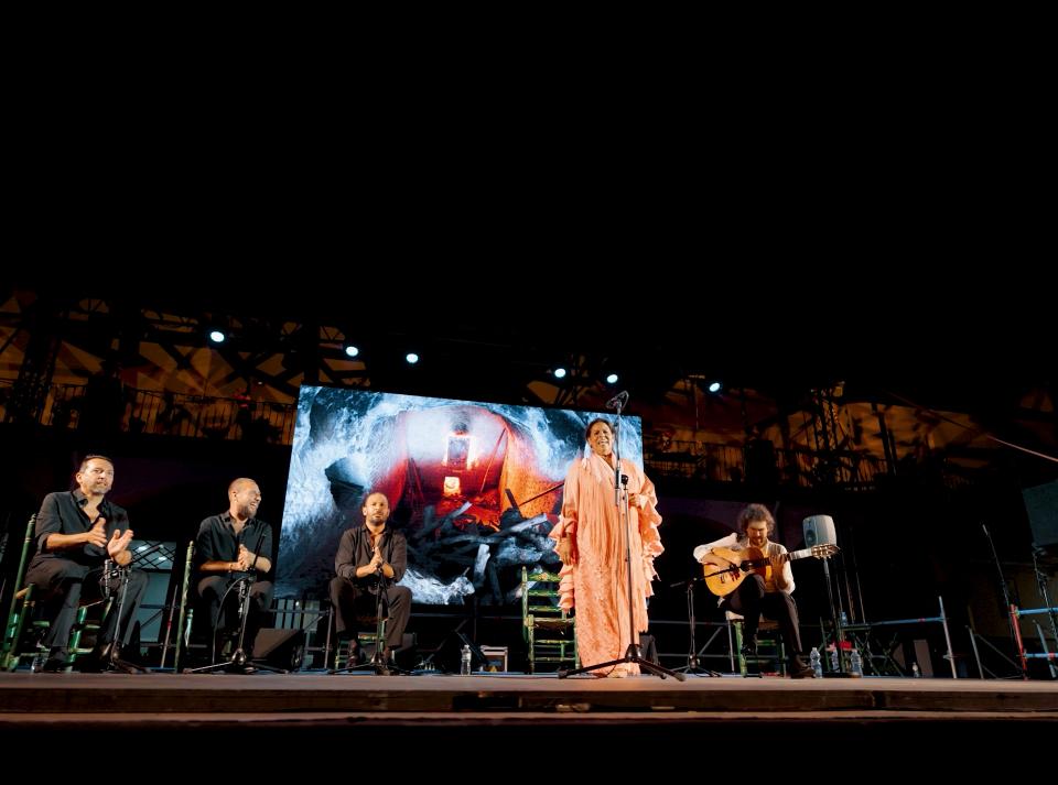 Apertura del plazo de solicitud de subvenciones para la celebración de festivales flamencos en la provincia durante 2026