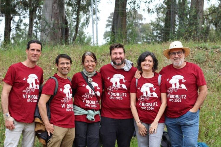 Un proyecto de ciencia ciudadana convertirá la UPO en un laboratorio vivo para estudiar la biodiversidad   Investigadores e investigadoras de la Universidad Pablo de Olavide lideran la iniciativa, en la que participan 200 personas y que concluirá con un informe que recopilará acciones prácticas para mejorar la funcionalidad ecológica del campus.