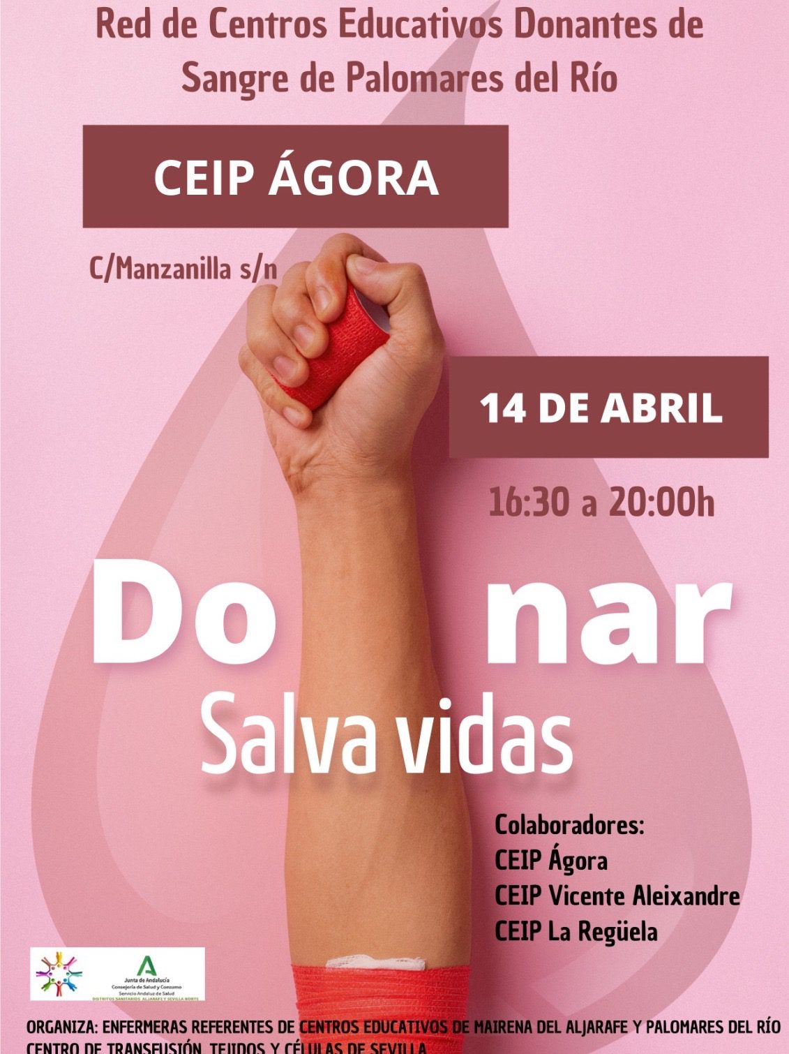 DONAR SANGRE ES DONAR VIDA