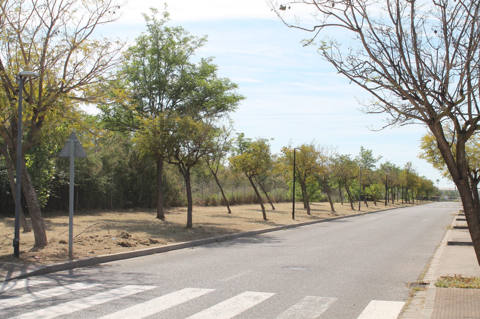 El Ayuntamiento refuerza las tareas de jardinería en distintos puntos del municipio