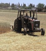 Un fallecido al volcar un tractor en Lucena (Córdoba)