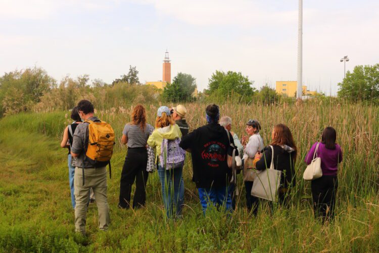 La UPO acoge una jornada para conocer al jilguero europeo, Ave del Año 2026   Seo/BirdLife, en colaboración con el CEI CamBio de la Universidad Pablo de Olavide, organiza un paseo guiado por el campus para sensibilizar sobre su estatus y conservación