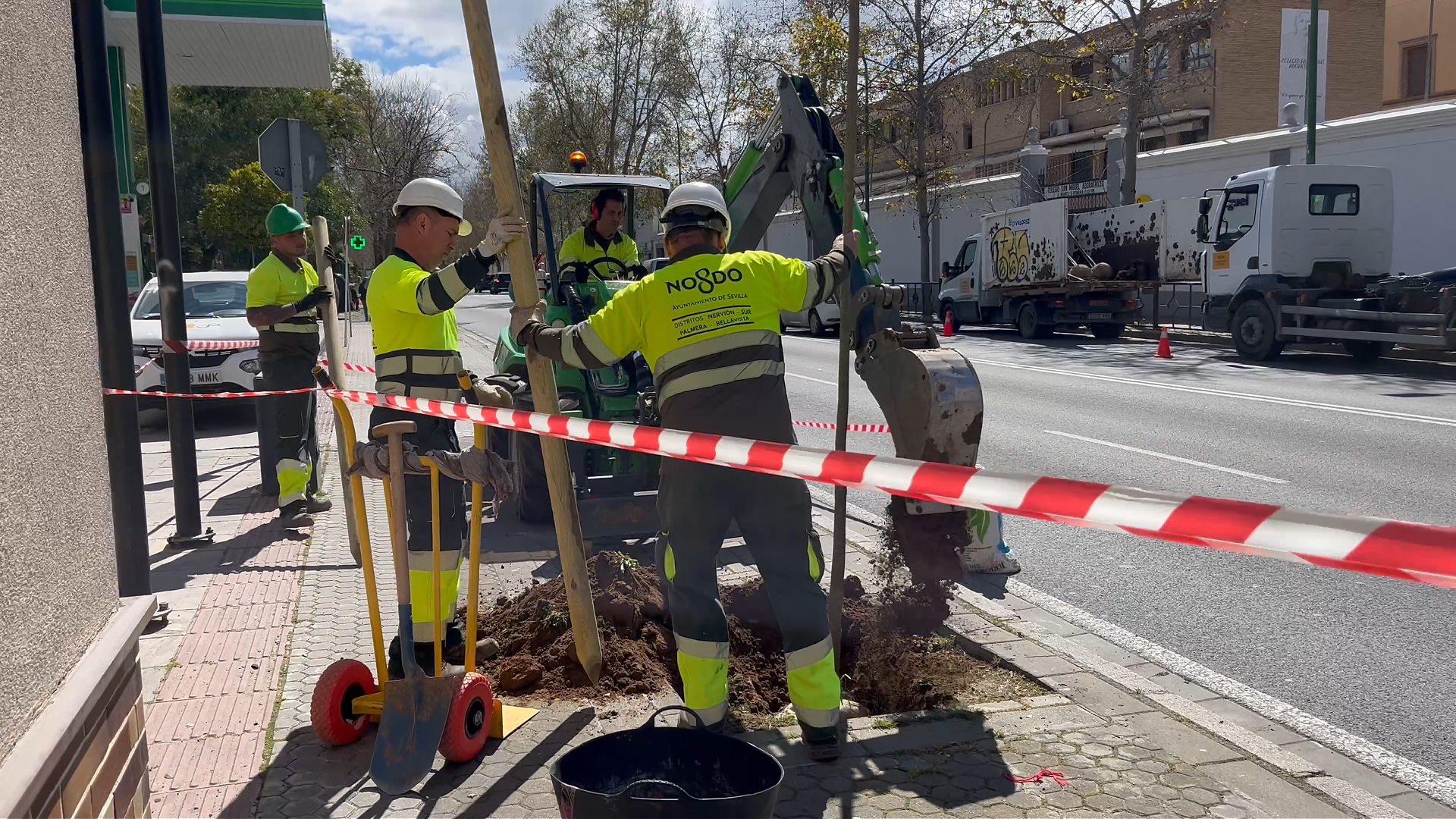 La campaña de plantación municipal del Distrito Sur suma cerca de 600 árboles entre calles y zonas verdes