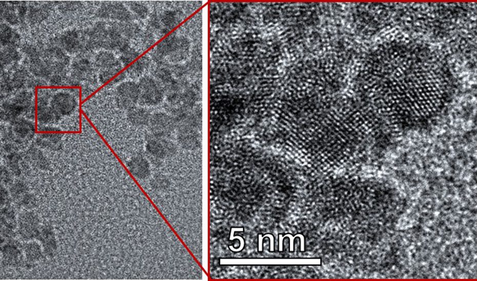 Andalucía diseña nanopartículas selectivas que eliminan bacterias infecciosas hospitalarias