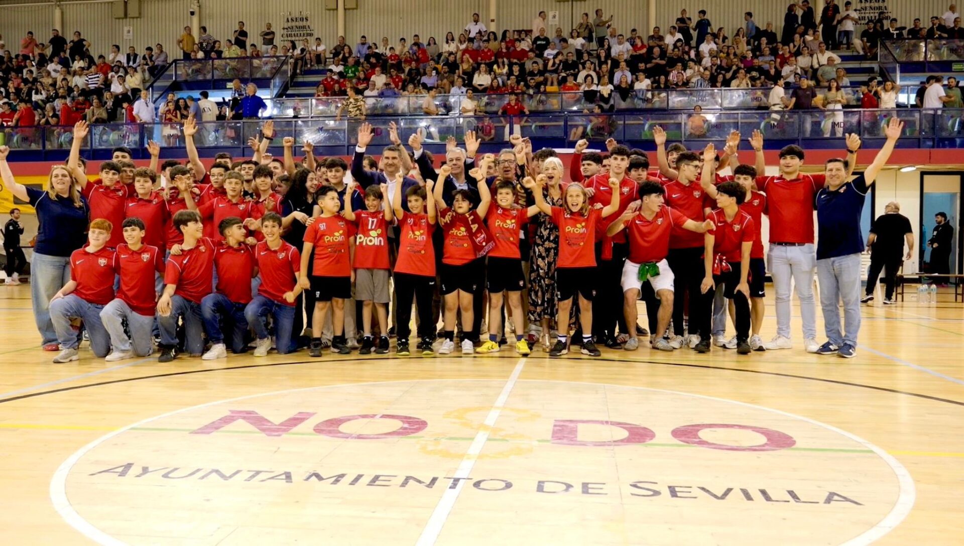 El Cajasol Sevilla BM Proin hace historia al convertirse en el primer equipo sevillano en ascender a la máxima categoría del balonmano español