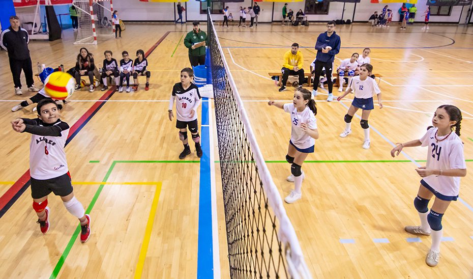 La fase final de la quinta edición de la Liga Edúcate en el Deporte reúne en Málaga a 60 equipos escolares