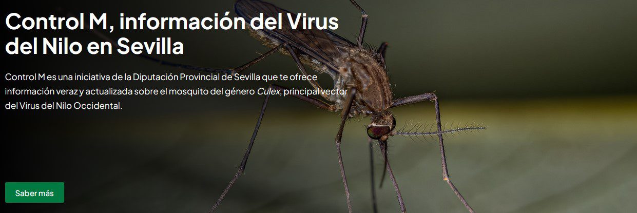 ¡Que tu piscina no sea un criadero de mosquitos!