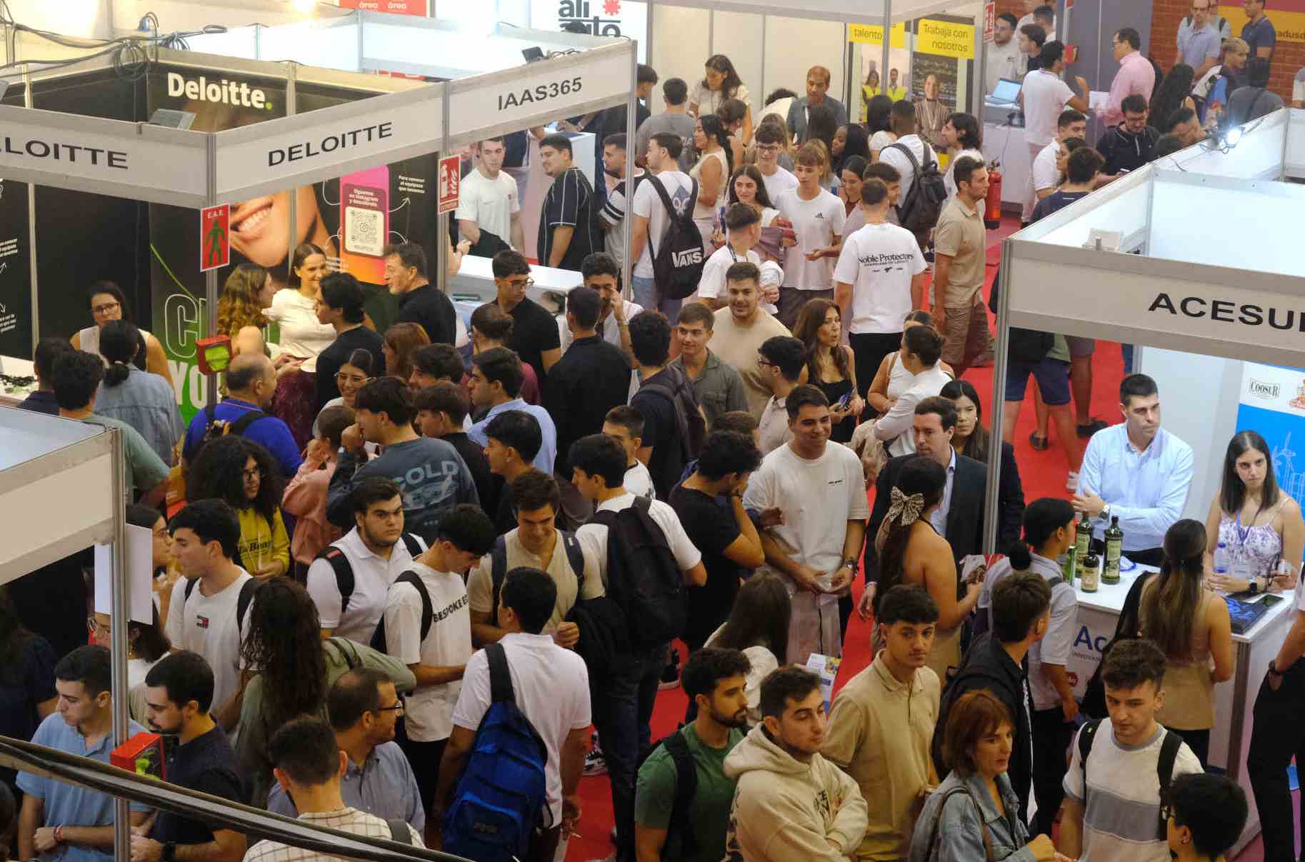 Casi medio centenar de títulos de la US tienen una tasa de inserción laboral superior al 80%