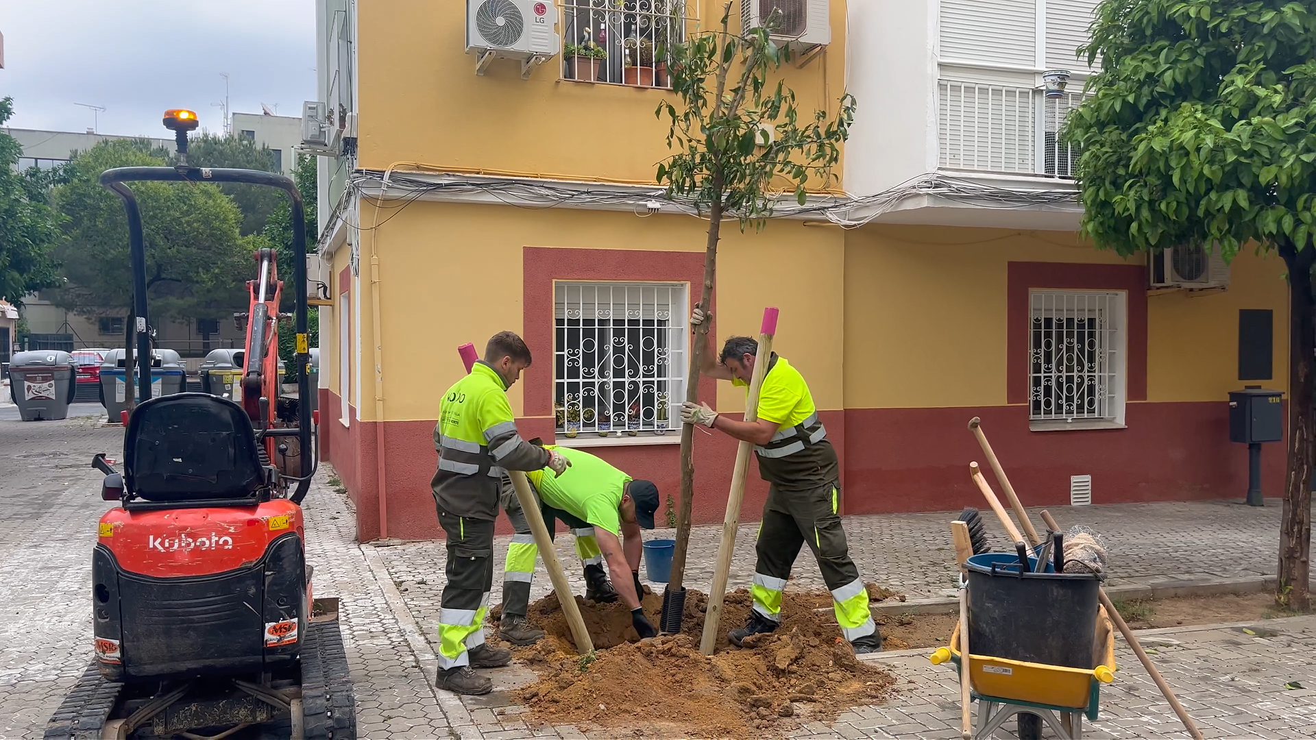 El Distrito Macarena suma más de 180 nuevos árboles en la campaña de plantación 2025–2026