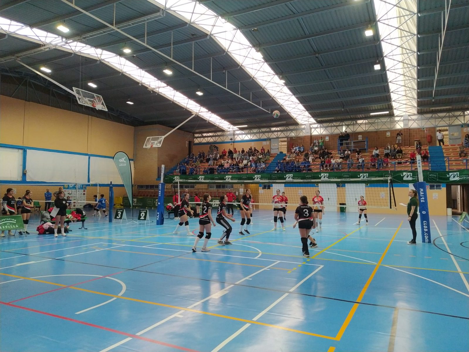 El desenlace definitivo del voleibol provincial: mañana sábado 16, en el III Torneo ‘Día de la Provincia’ que organiza la Diputación de Sevilla