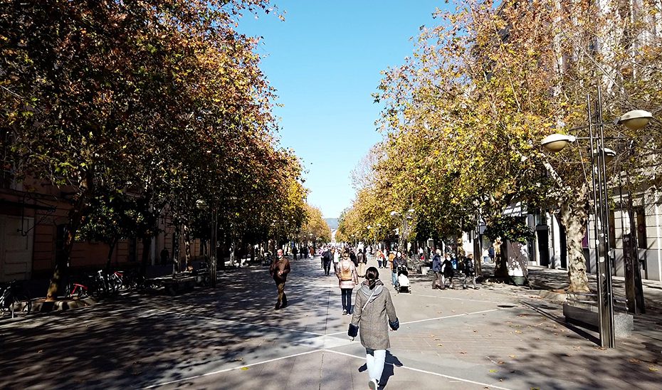 Andalucía incrementa hasta los 14 millones el apoyo a los municipios para actuaciones frente al cambio climático