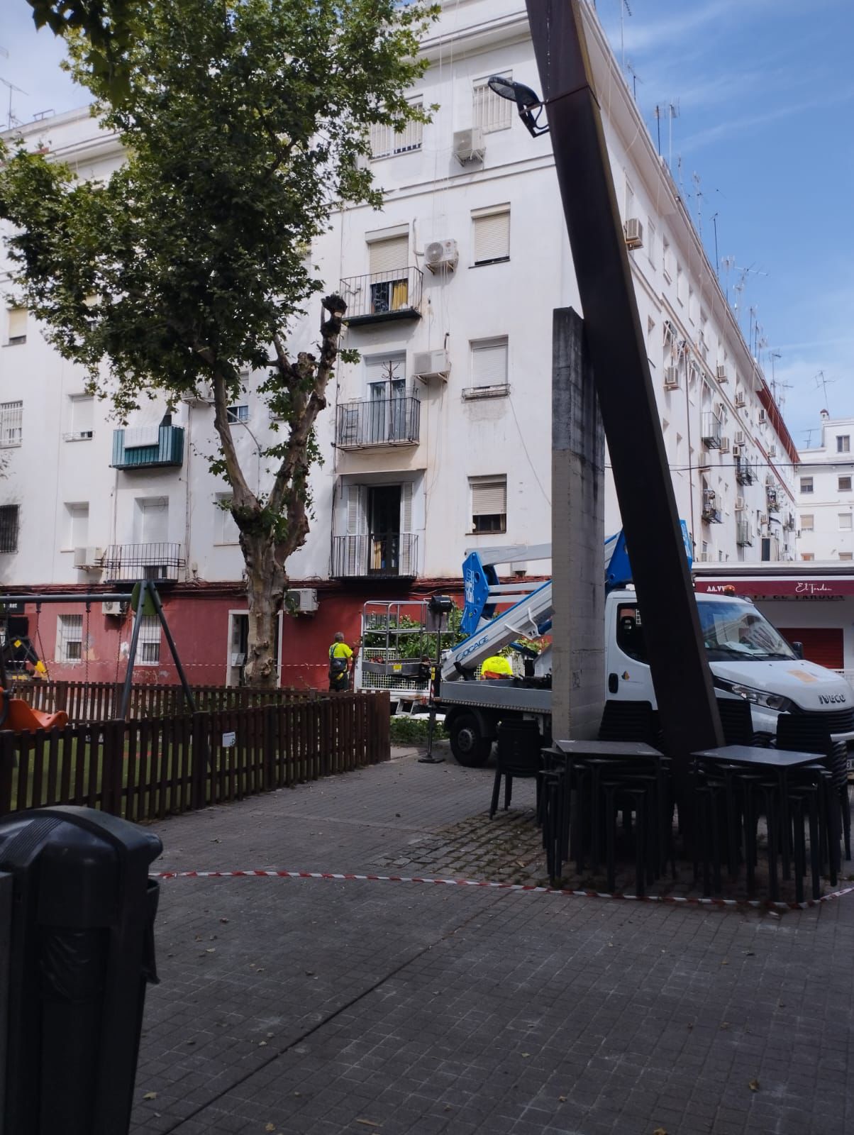 El Ayuntamiento avanza en la renovación del arbolado de Cerámicas Mensaque tras iniciar la reposición con cuatro nuevas tipuanas