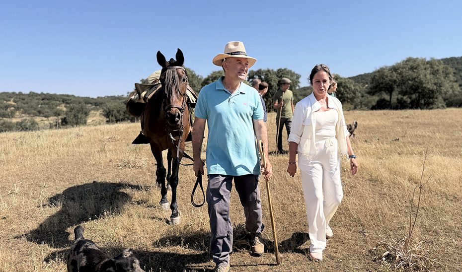 Andalucía refuerza la prevención de incendios fomentando los usos silvopastorales al bonificar el pastoreo en montes públicos