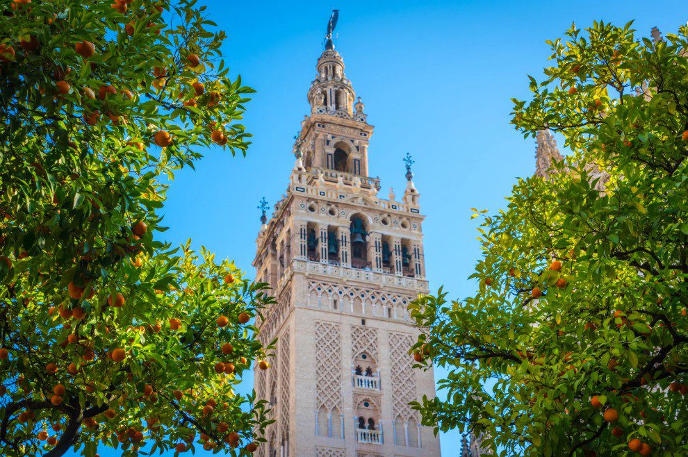 La sombra de los naranjos puede reducir hasta 12 ºC la temperatura del pavimento en Sevilla