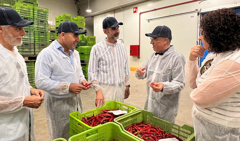 La Junta destaca el «respaldo» de los programas operativos a la transformación del sector hortofrutícola