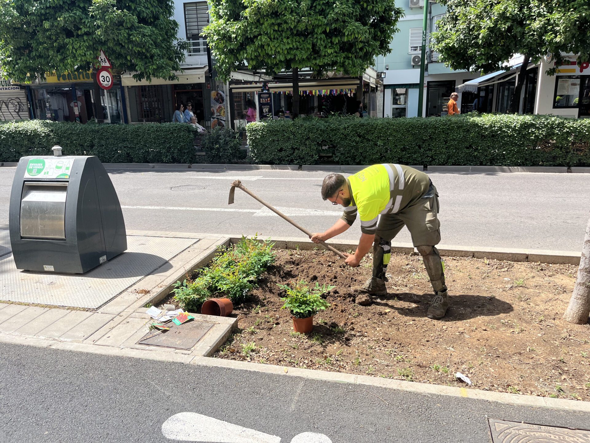 El Gobierno municipal refuerza las zonas verdes de la calle Greco con más de 1400 nuevas plantaciones arbustivas