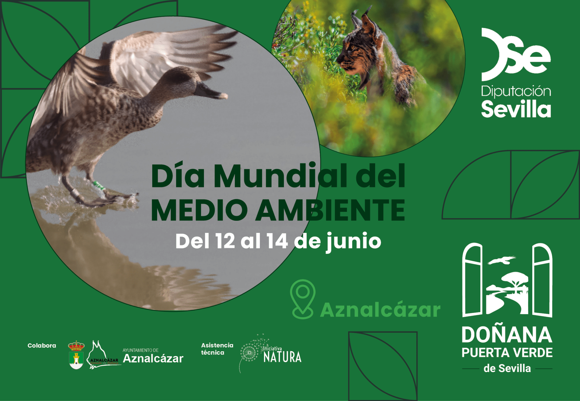 La Diputación de Sevilla sitúa a Doñana y su entorno en el centro de los actos por el Día Mundial del Medio Ambiente 2026, que se trasladan a Aznalcázar