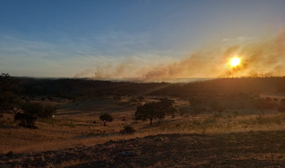 La Junta eleva el Plan Infoca a fase de emergencia por el incendio de matorral y pasto en Alosno