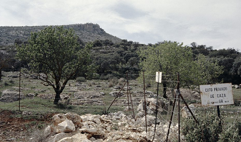 La Junta regula la figura del guarda jurado de caza para reforzar la vigilancia de los espacios cinegéticos
