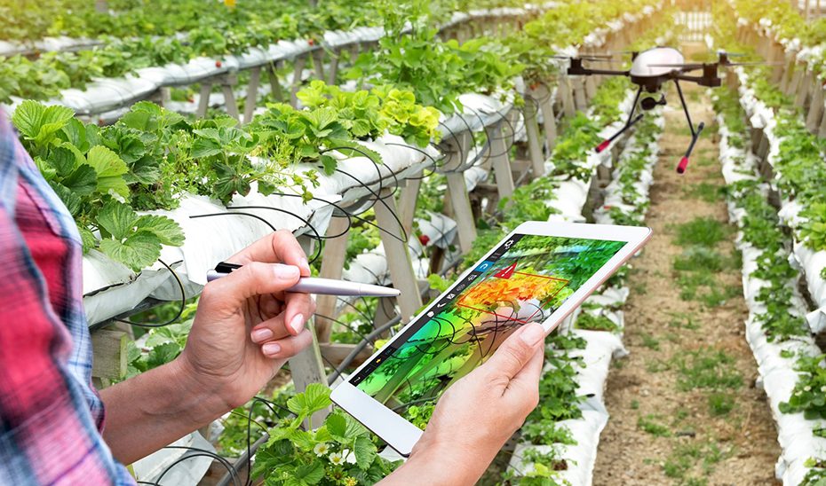 Andalucía refuerza su liderazgo europeo en bioeconomía circular en la I Cumbre de Sevilla