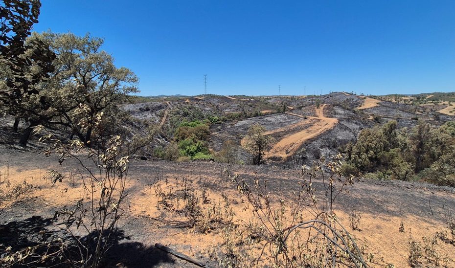 Antonio Sanz desciende a preemergencia el Plan Infoca en Huelva por el incendio de Villanueva de los Castillejos