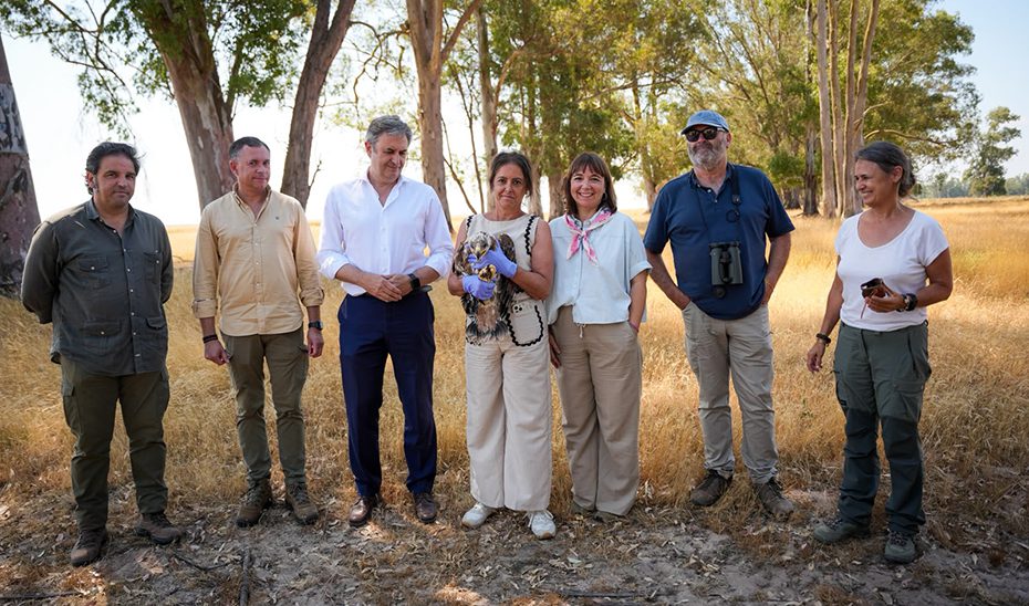Junta y Fundación Endesa avanzan en la salvaguarda del águila imperial y el milano real en Doñana