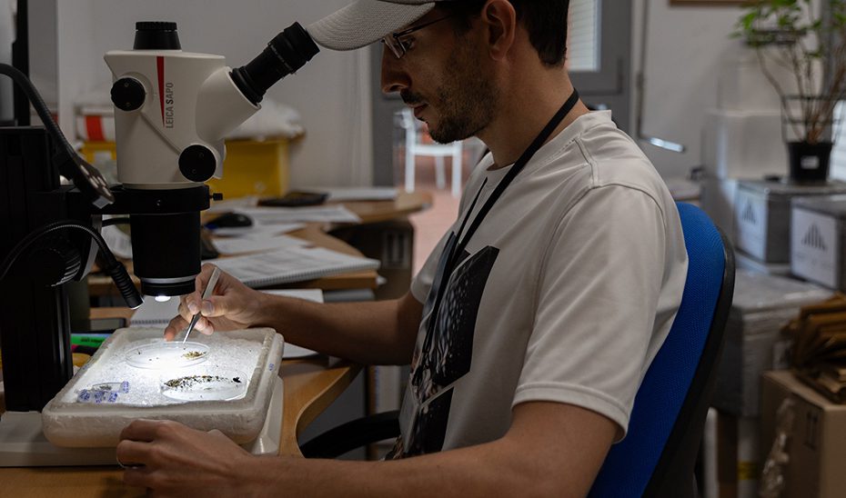 Andalucía despliega 400 agentes de Salud Pública por toda la comunidad para el control del virus del Nilo