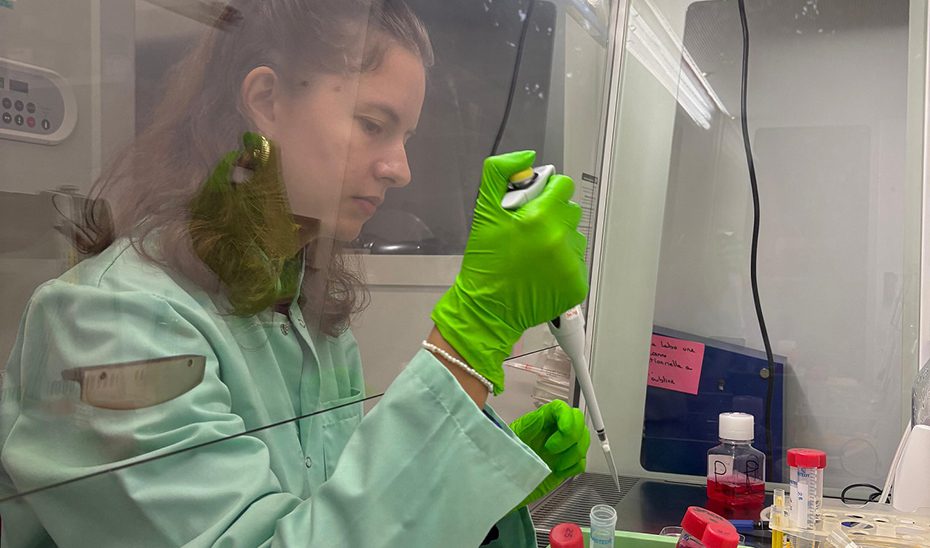 Científicos andaluces identifican una molécula de la microbiota que refuerza las defensas del intestino