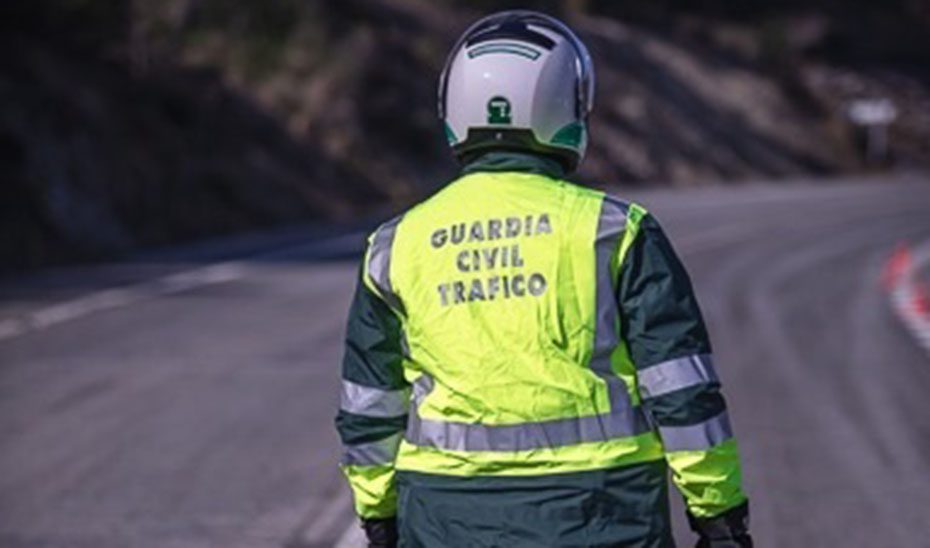 Fallece  tras ser atropellado por un camión en la A-44 a la altura de La Guardia