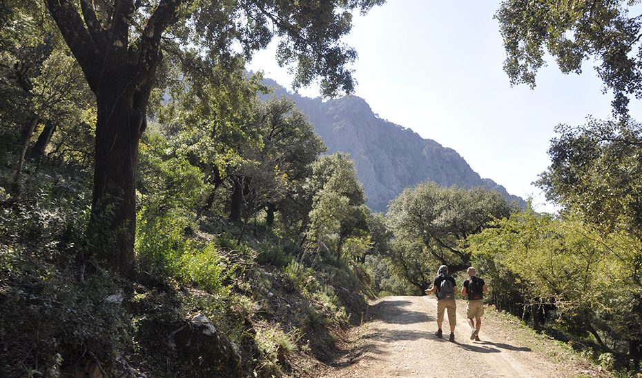 La Junta digitaliza más de 500 señales de los espacios naturales para acercar el patrimonio