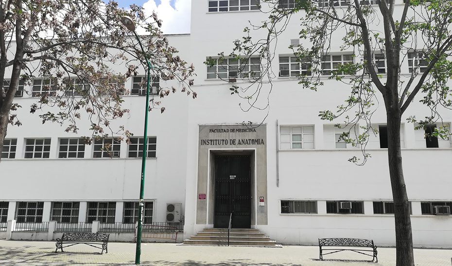 Más del 41% de los estudiantes que solicitan plaza universitaria en Andalucía se decanta por grados de la rama sanitaria