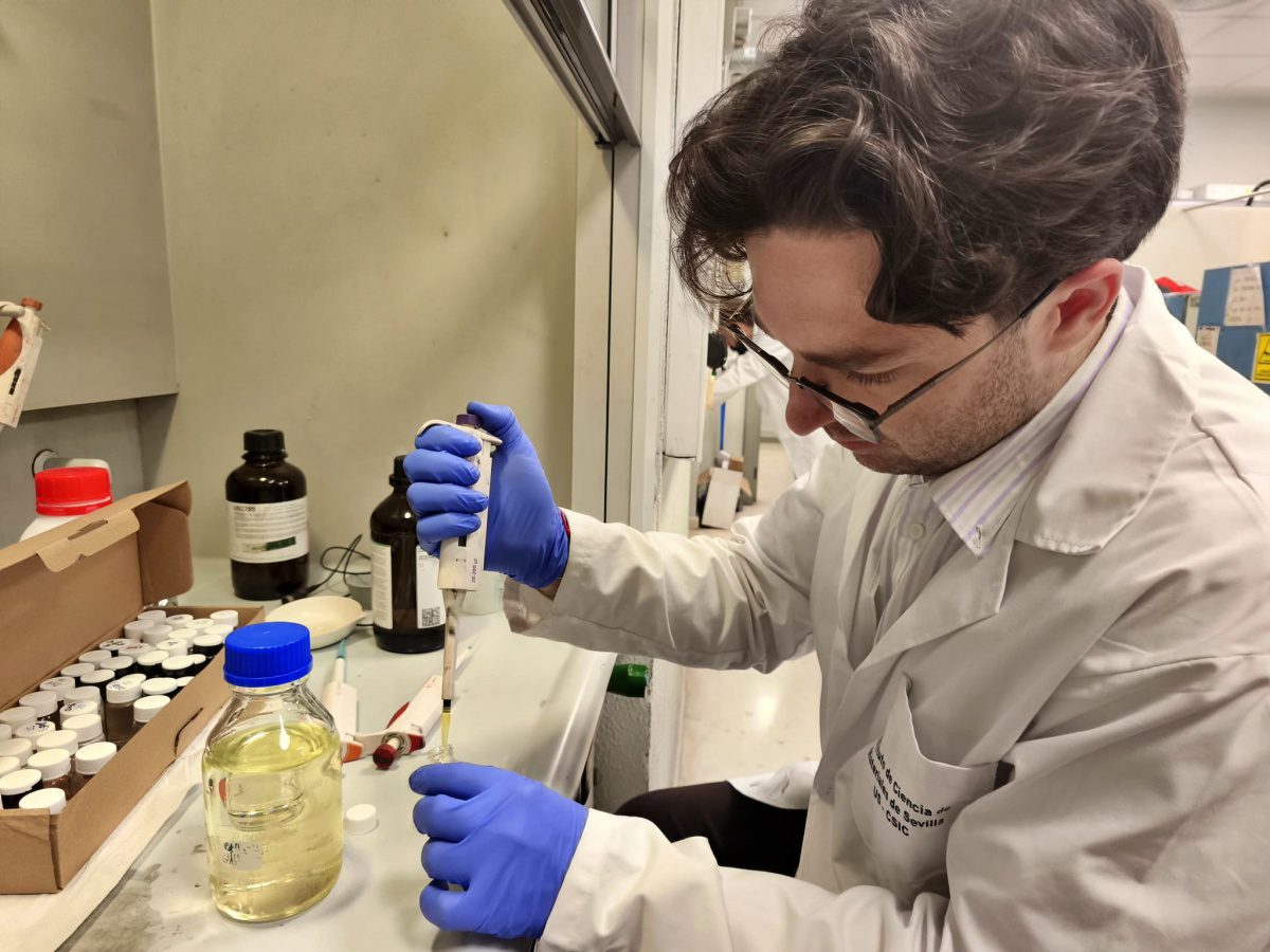 Diseñan un nuevo catalizador para reciclar el CO2 e impulsar la economía circular en la industria química y textil