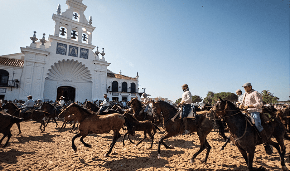 La Saca de las Yeguas, el legado de la marisma