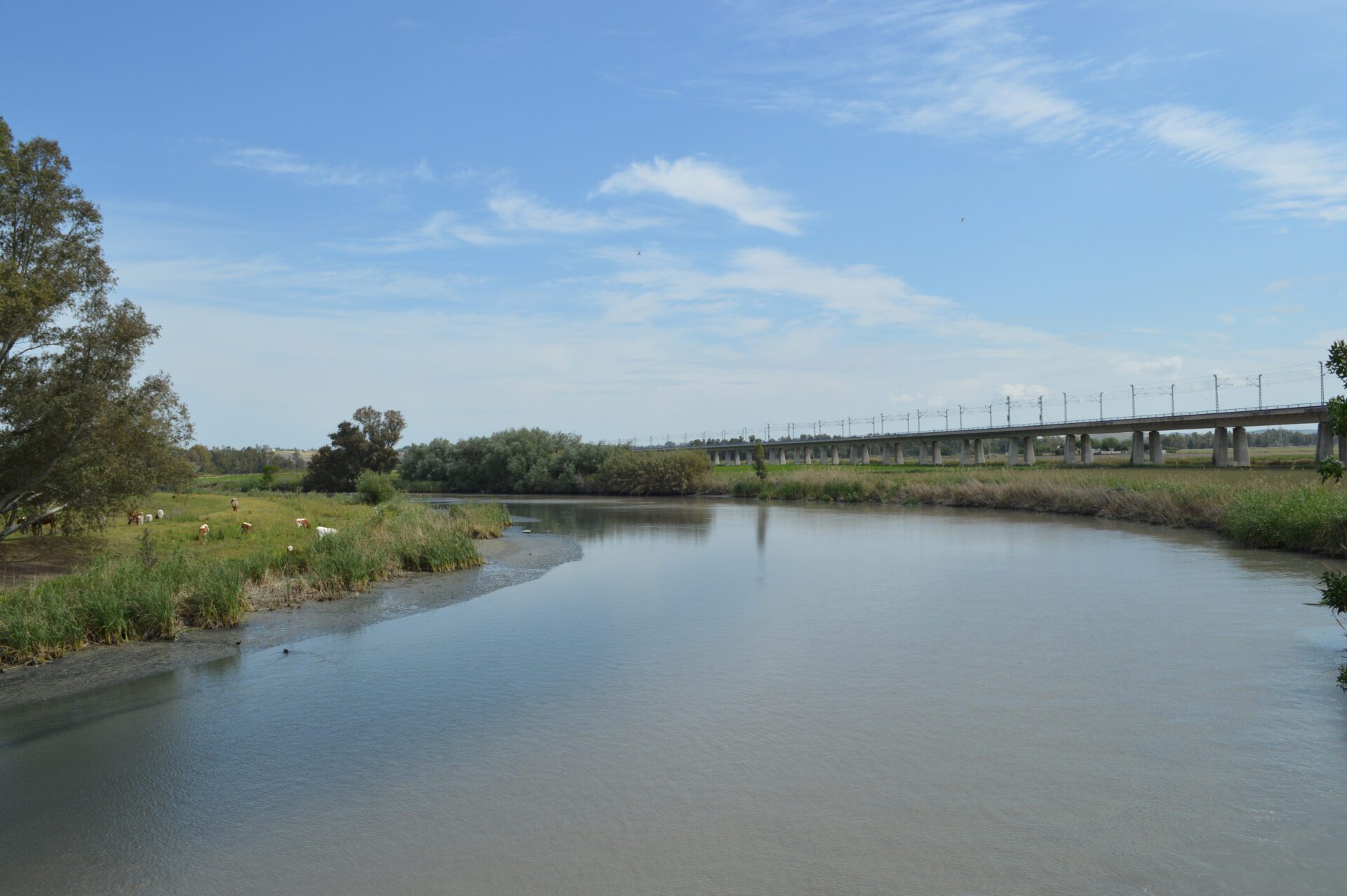 El camino de la reconciliación de Jerez de la Frontera con el río Guadalete