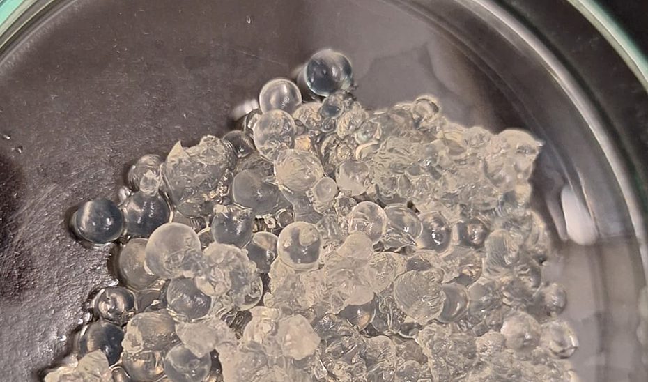 Andalucía diseña un gel a partir de algas y cáscaras de gamba que conserva la humedad en los cultivos