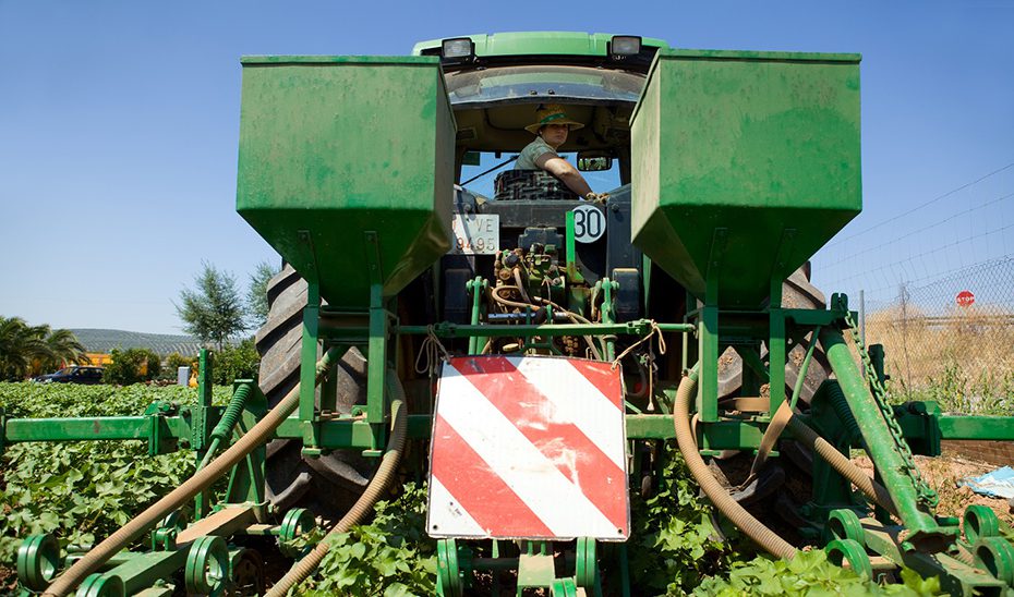 La Junta resuelve todas las solicitudes de ayudas de jóvenes agricultores en Andalucía