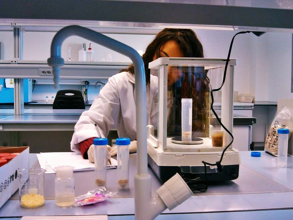 13 investigadoras de la US se sitúan entre las mil más citadas de España