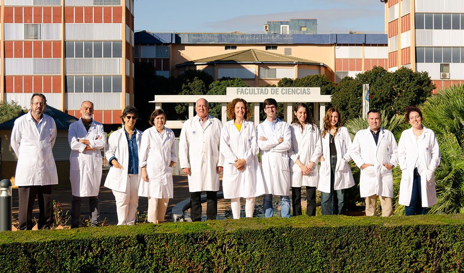 Investigadores andaluces reutilizan el alga asiática invasora para mejorar piensos de acuicultura