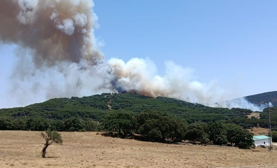 La Junta eleva el Plan Infoca a fase de emergencia, situación operativa 1, por un incendio en Grazalema