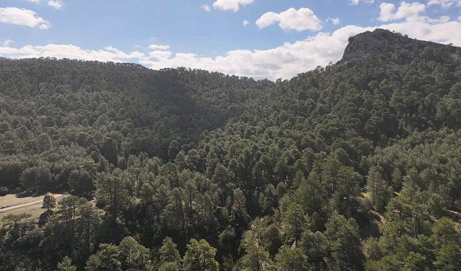 Publicado el primer Registro de Montes Públicos de Andalucía, un riguroso inventario que emana de la aplicación de la LEMA