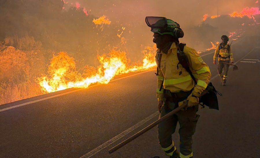 Seis personas fallecidas en el incendio forestal declarado esta tarde en Los Gallardos