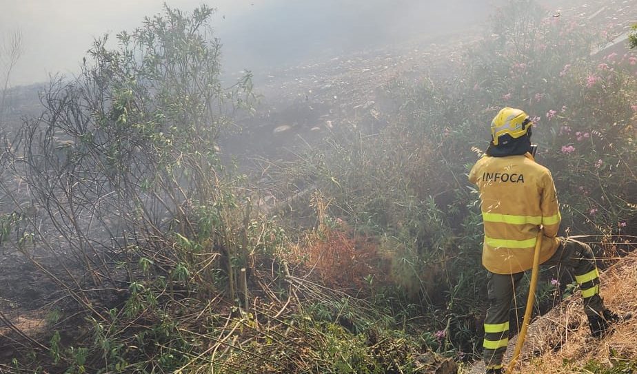 Unos mil vecinos han sido desalojados de forma preventiva por el incendio urbano forestal de Benahavís