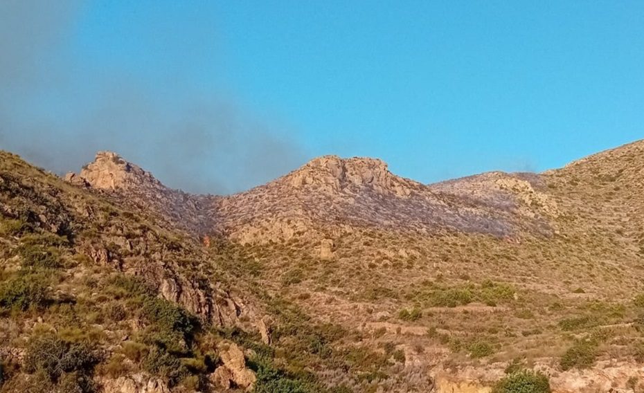 La cifra de personas fallecidas en el incendio forestal de Los Gallardos es de once