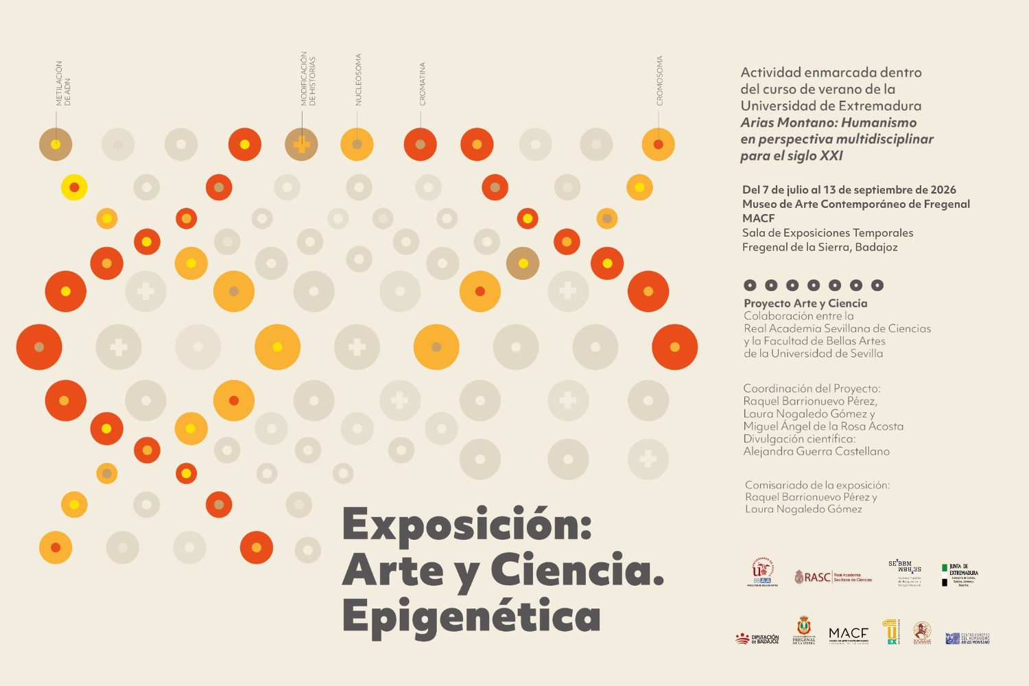 Arte y Ciencia se unen de nuevo en Fregenal de la Sierra gracias a la Facultad de Bellas Artes