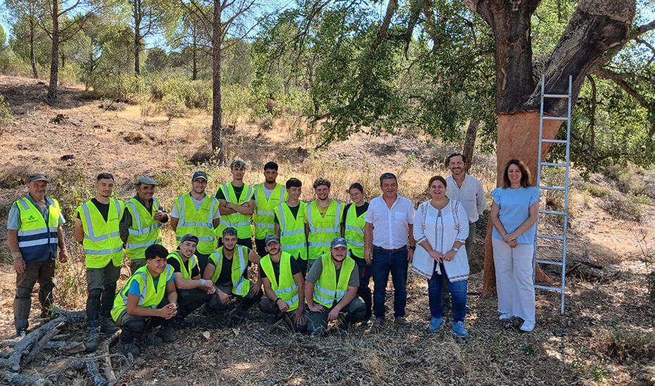 El Parque Natural Sierra Morena de Sevilla genera 215.000 kilos de corcho de alta calidad